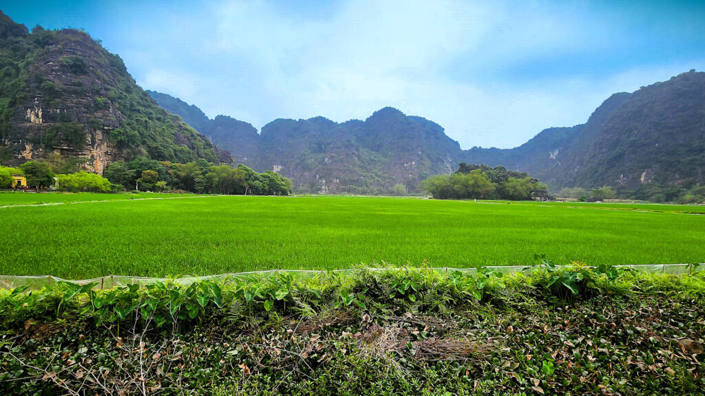 A field in a rural area about 90 minutes outside Hanoi, Vietnam