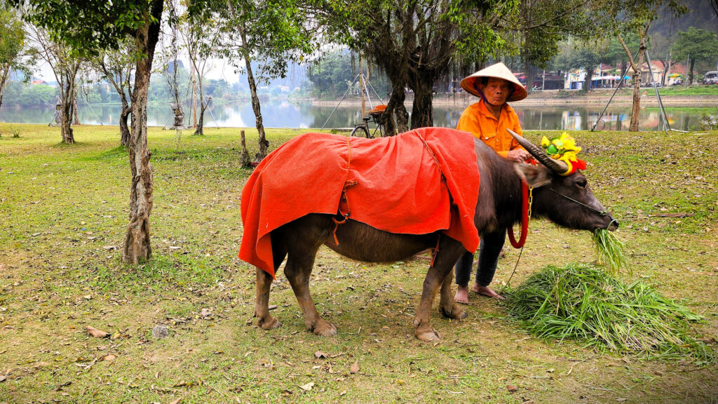 A Vietnamese farmer in the countryside outside Hanoi.